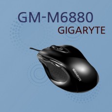 GM-M6880 기가바이트